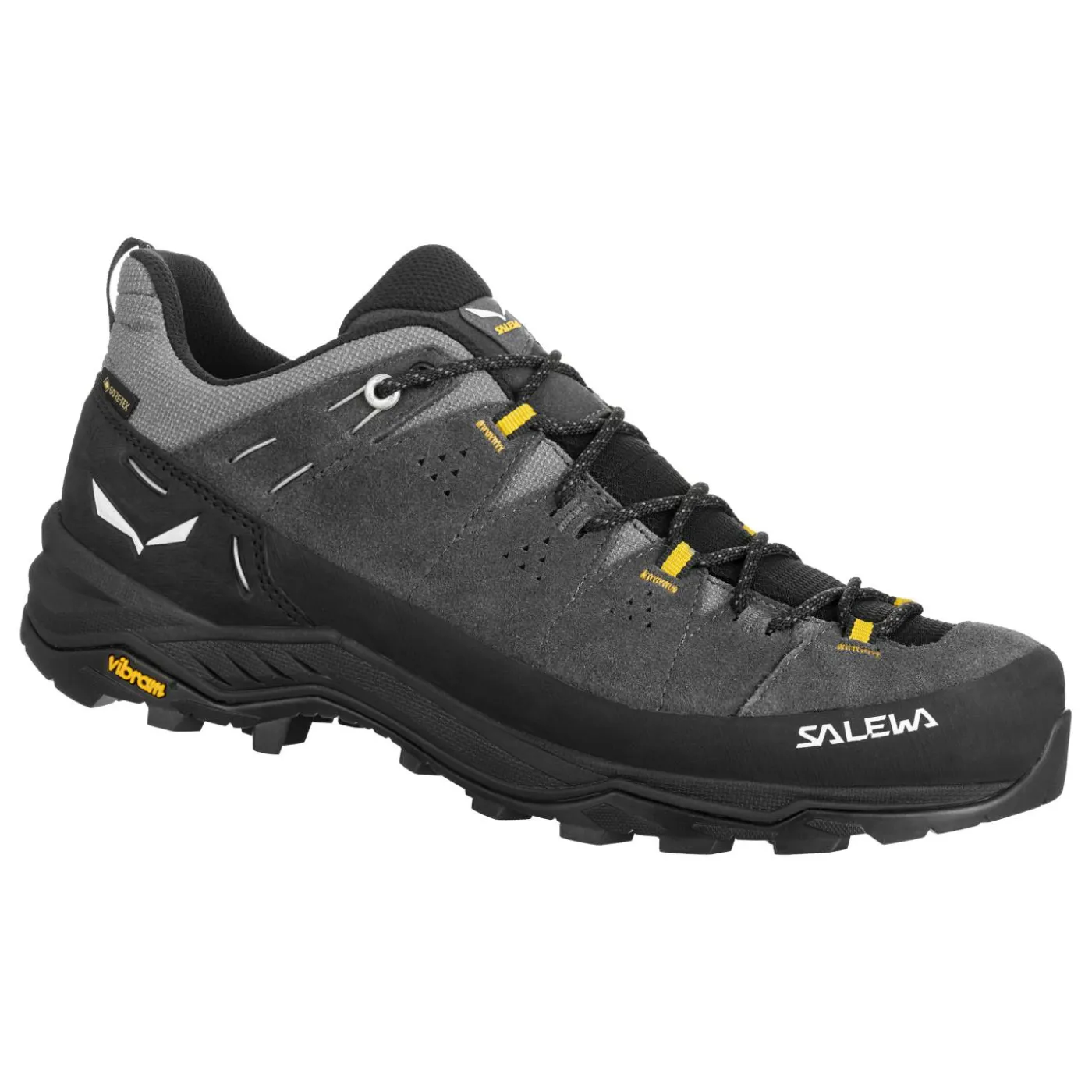 Wanderschuh "Alp Trainer 2 GTX M"