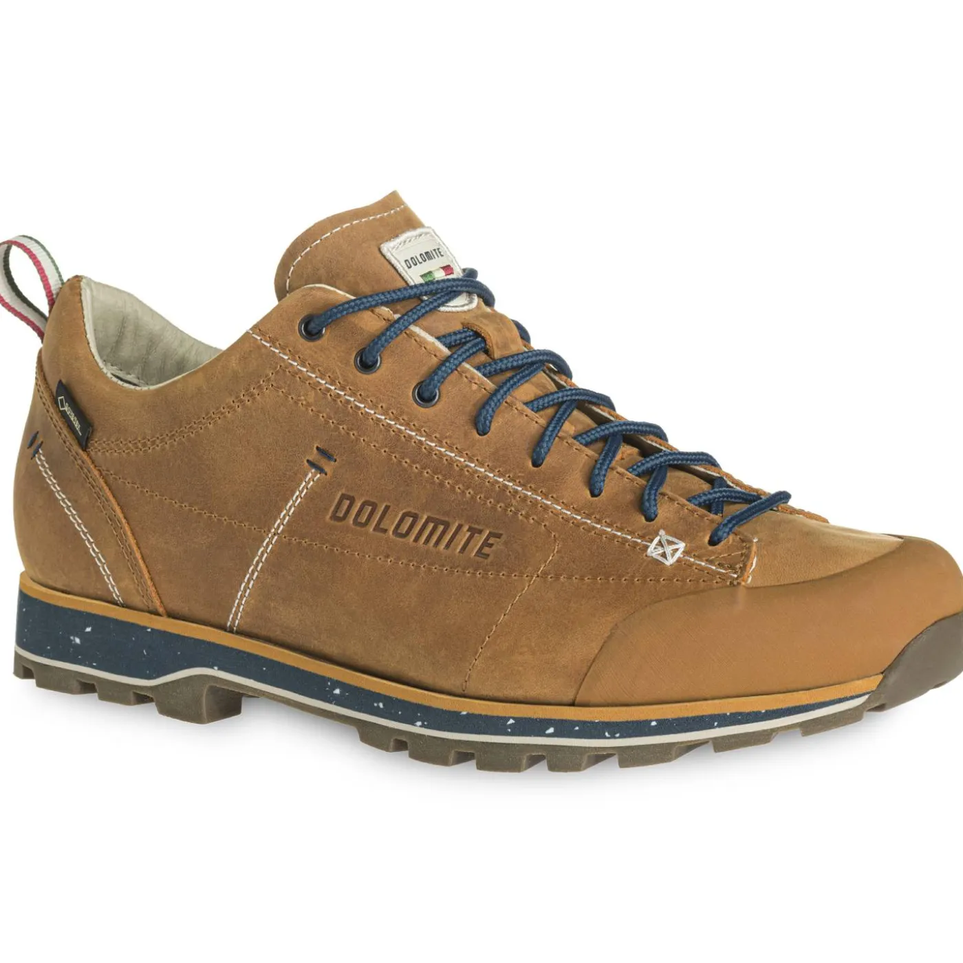 Wanderschuh "DOL 54 Low FG Evo GTX"