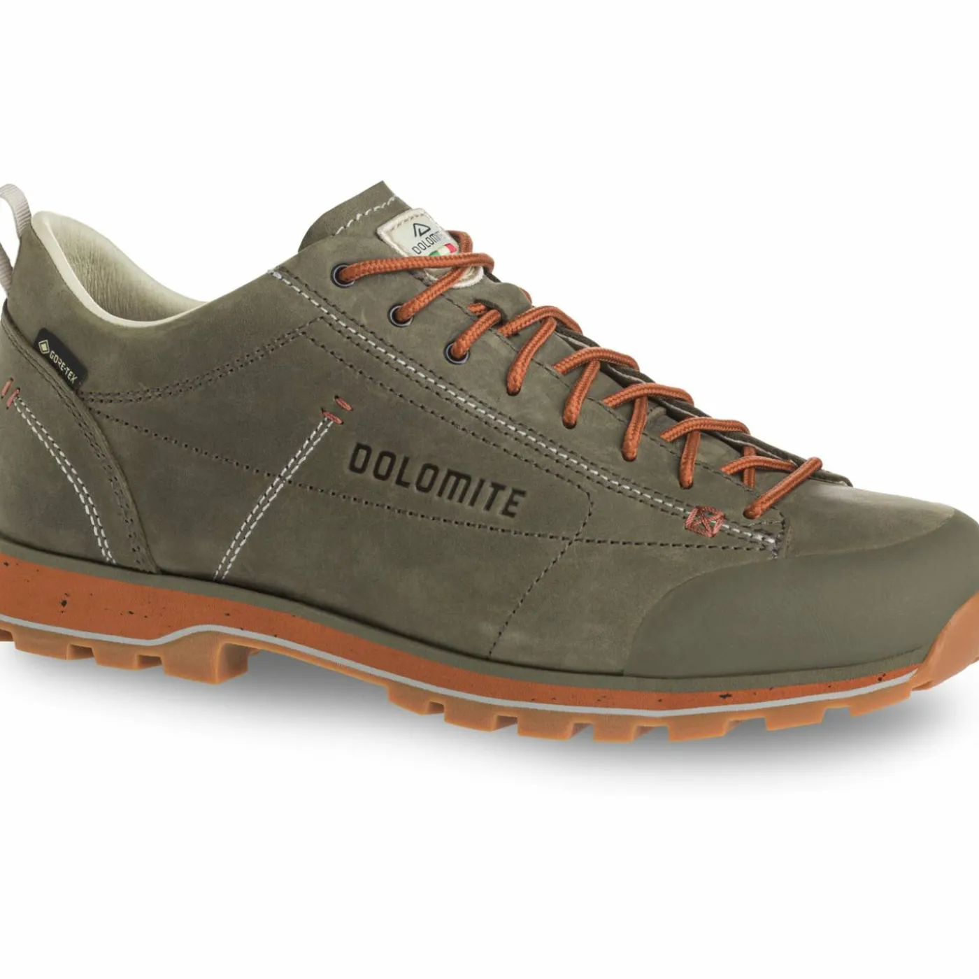 Wanderschuh "DOL 54 Low FG Evo GTX"