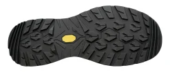 Wanderschuh "Renegade Evo GTX Lo Ws"